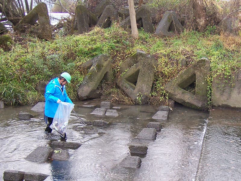 地域美化活動